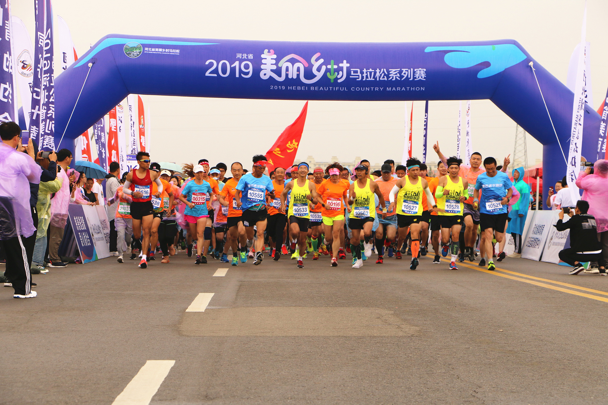 2019�ӱ�ʡ�������������ϵ��������վ��ǹ����