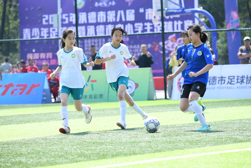 2025��ڰ˽조�г������������������߳е�����Сѧ��������������Ļ