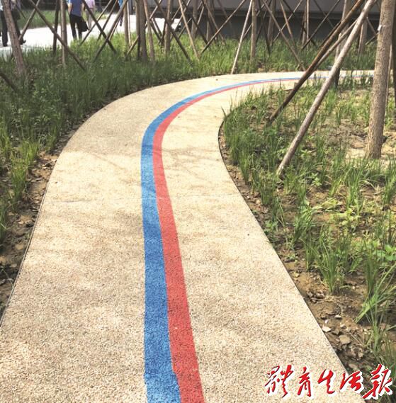 TIM截图20180620092730.jpg