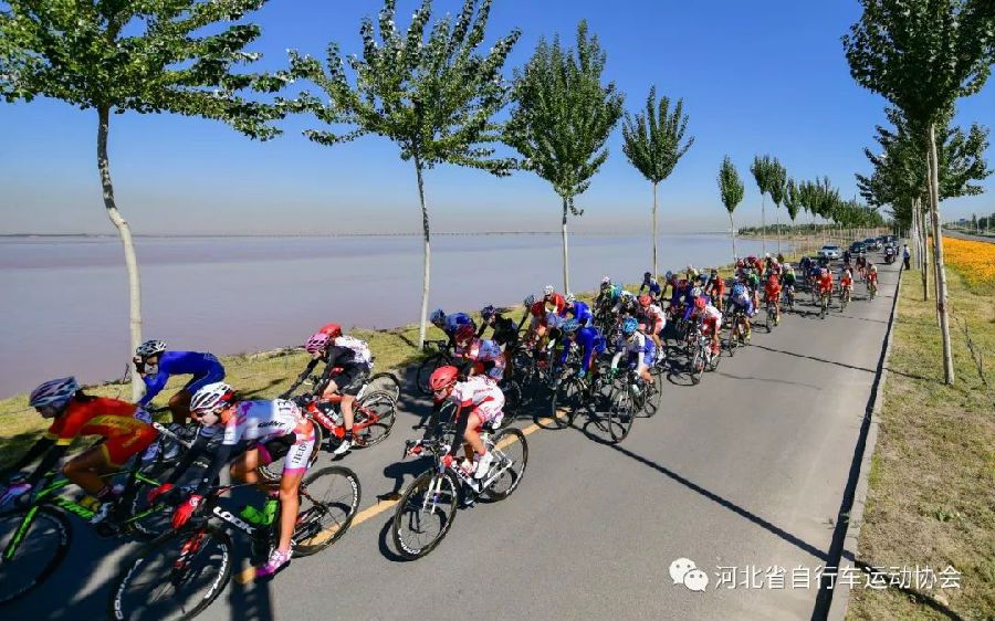 自行车1.jpg